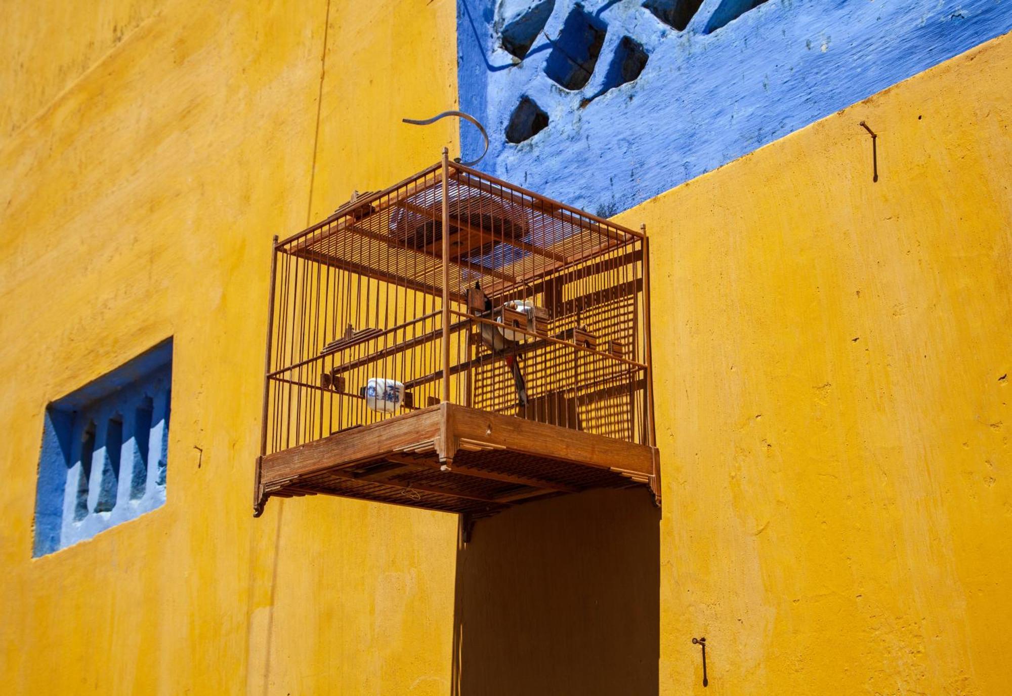 Bespoke Villa Hoian Hoi An Eksteriør billede